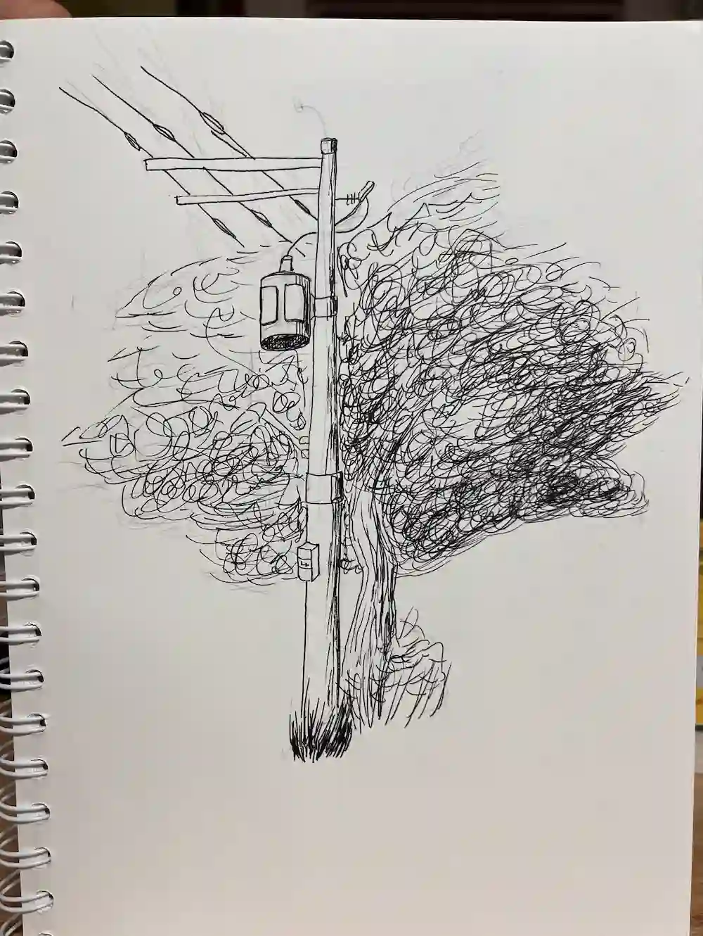 그림